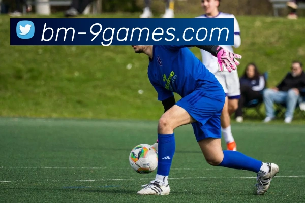 九游会官网平台生态图