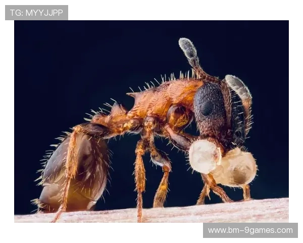 《在恐怖游戏中通过显微镜探索微生物的神秘世界》